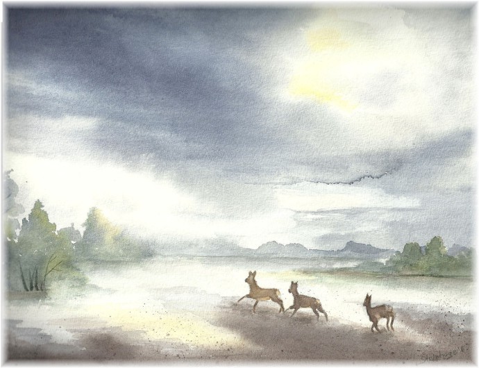 Sabine Steinhage, Rehe in der Hummelsbütteler Feldmark