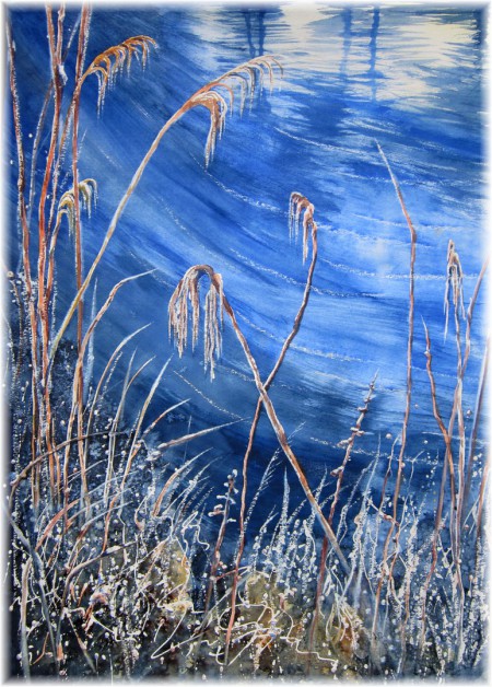 Hummelsbütteler Feldmark - Frosthauch