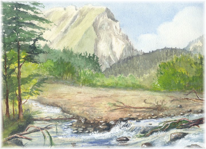 Bregenzer Ache nach Hochwasser