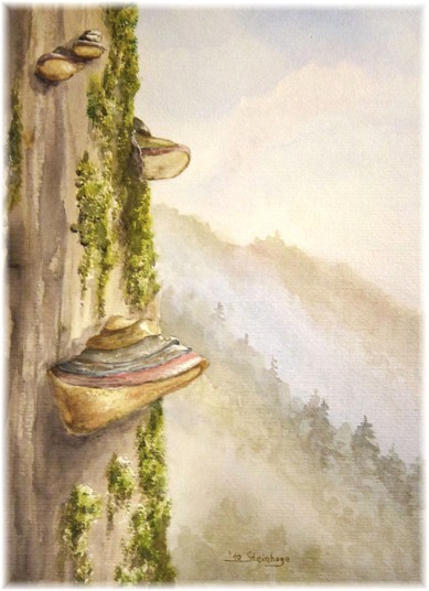 Sabine Steinhage, Harz - Wolfsbachtal