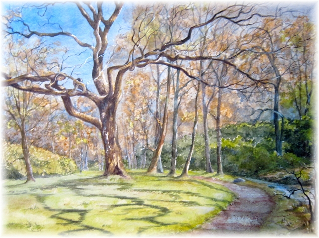 Sabine Steinhage, Hamburg-Ohlsdorf, Schattenwurf