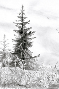 Bei Mellau-Bleistiftzeichnung