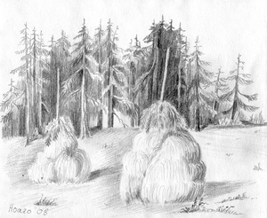 Steinhage, Bleistiftskizze-Huazo