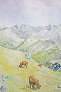 Steinhage-Auf-dem-Diedamskopf