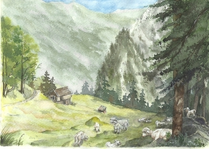 Bergstation Stein-Echowand