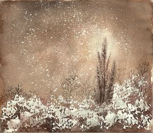 Moorlauge-Wintersonne