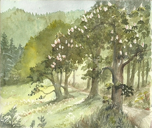 Zorge-Kastanienblüte