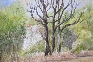 Walkenried-An den Fischteichen