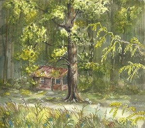 Planwiese mit Schutzhütte