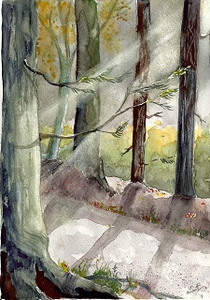 Lichtspiel-Harzer Wanderweg