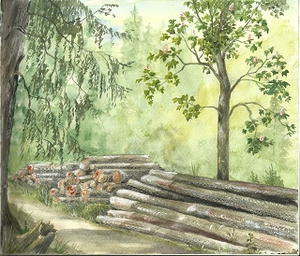 Baumstämme-Alte Poststrasse-Zorge