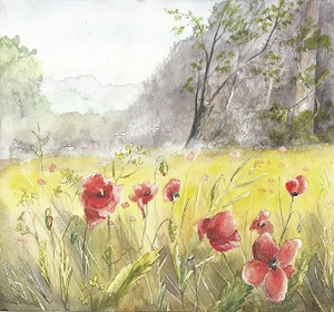 Mohnblumen-Walkenried