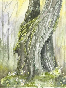 Buschwindröschen-Harz