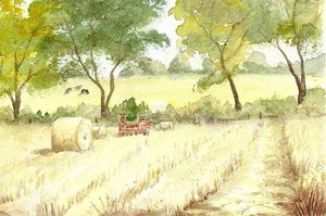 Hummelsbüttel-Feldmark-Strohernte